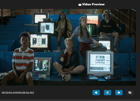 Video Preview
